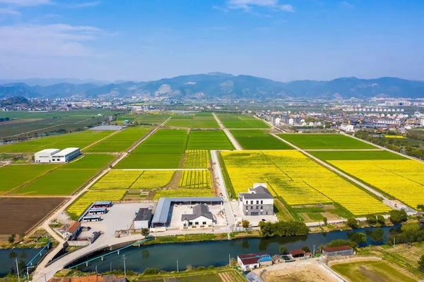 高標(biāo)準(zhǔn)農(nóng)田典型案例集錦丨“豐景”，在希望的田野