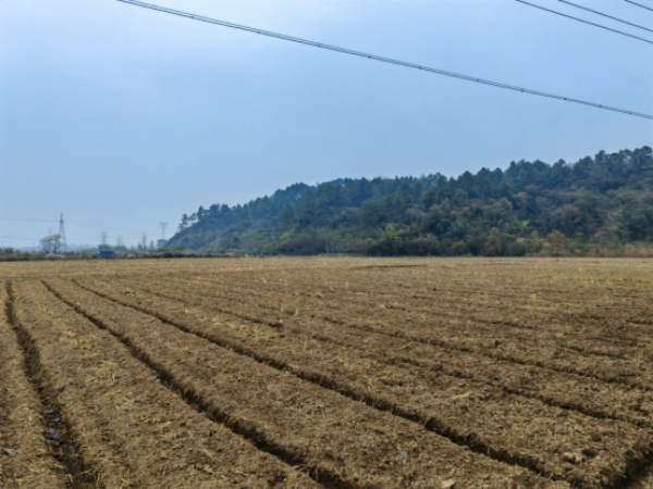 安徽涇縣: 推進高標準農(nóng)田建設 為推動實現(xiàn)鄉(xiāng)村振興注入生機與活力