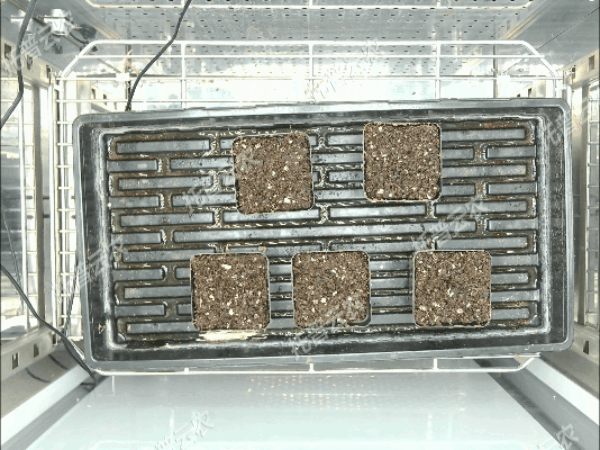 3.gif