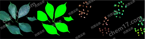 高光譜植物數字采集分析系統
