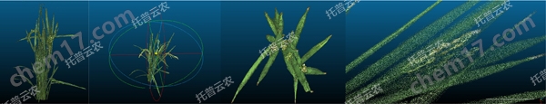 盆栽植物三維數(shù)字表型采集分析系統(tǒng)