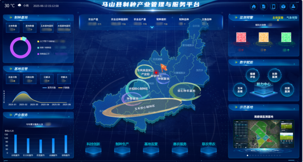 AI+農業 | 當種子植入“數智芯片”，馬山縣打造制種基地新標桿
